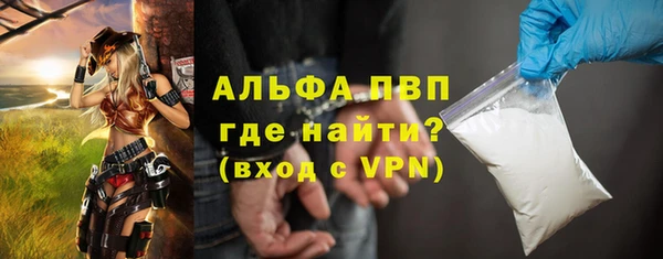 МДПВ Вяземский