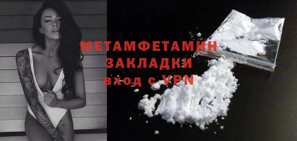 гидра Вязьма