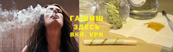 гидра Вязьма