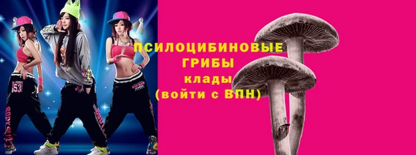 гидра Вязьма