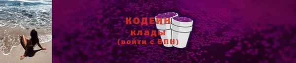 МДПВ Вяземский