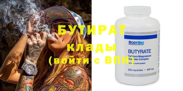 гидра Вязьма