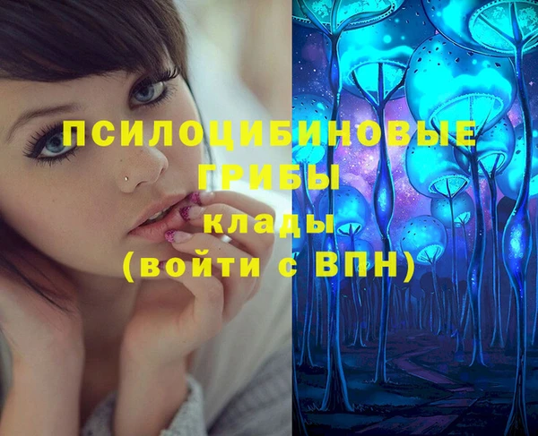 МДПВ Вяземский