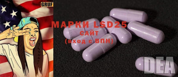 гидра Вязьма
