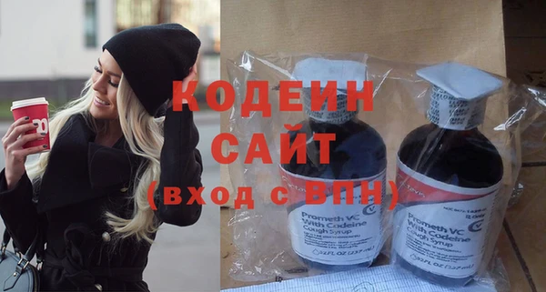 МДПВ Вяземский
