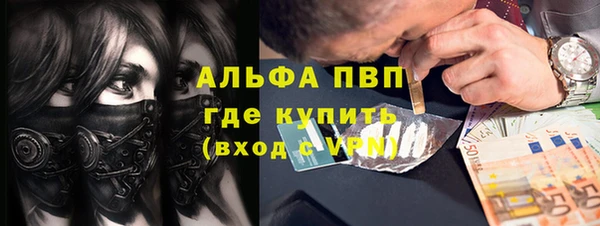 гидра Вязьма