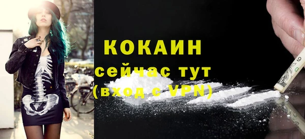 гидра Вязьма